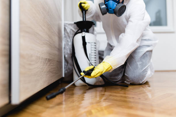 Best Termite Control Services  in Boscobel, WI
