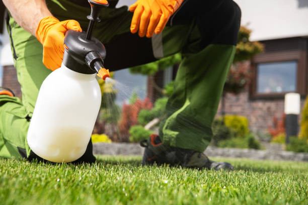 Best Wasp Removal Services  in Boscobel, WI