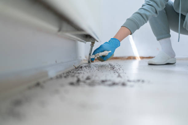 Best Pest Removal Services  in Boscobel, WI