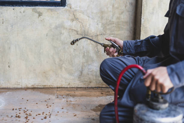Best Best Pest Control Companies  in Boscobel, WI